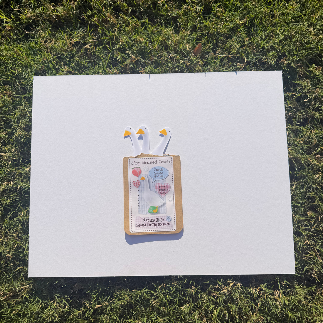Porch Goose Blind Bags- Series 1